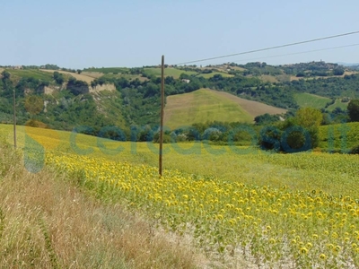 Terreno agricolo in vendita a Mergo