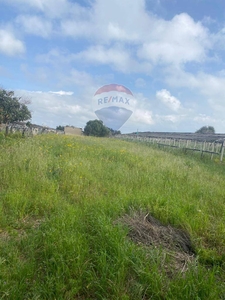 Terreno agricolo in vendita a Portopalo Di Capo Passero