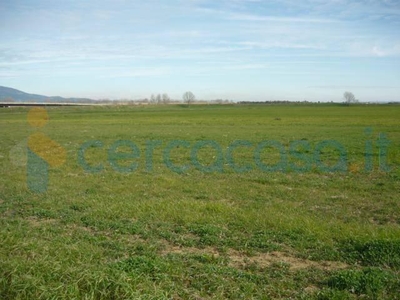 Terreno agricolo in vendita a Vetralla