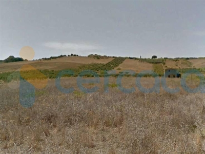 Terreno agricolo in vendita in Contrada Belice Mare, Castelvetrano