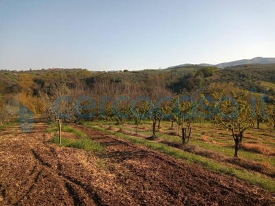 Terreno agricolo in vendita in Località Fonte Della Nocchia, Montelibretti