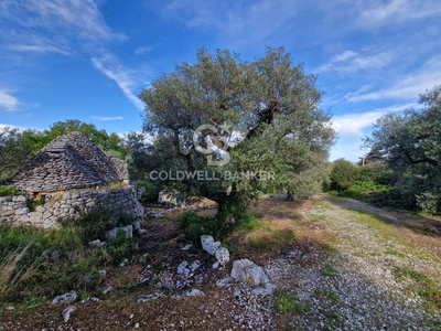 Trullo in vendita 1 Stanza da letto a Cisternino