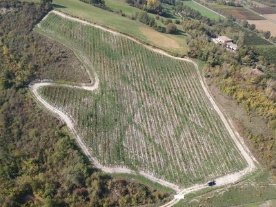 Vendita Terreno agricolo, in zona GAROFANO, SAVIGNANO SUL PANARO