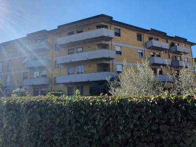 Appartamento in vendita a Collesalvetti via Roma, 360