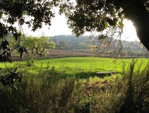 Affascinante Casale con Terreno in Vendita a San Quirico d'Orcia