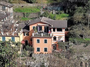 AVEGNO IMMERSO NEL VERDE vendiamo appartamento indipendente