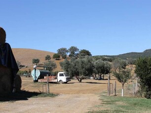 In Vendita: Azienda Agricola con Villa Ristrutturata in Toscana, Grosseto