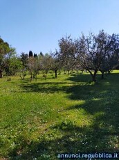 In zona CAMPAGNANO DI ROMA, esattamente