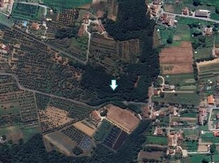 Terreno agricolo in buono stato di 16790 mq. a San Colombano