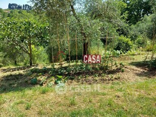 Terreno agricolo in Vendita in a Crespina Lorenzana