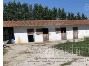 Terreno agricolo in Vendita in Via Poggio alla Farnia 47 a Fauglia