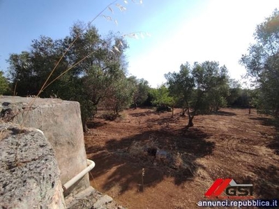 All'ingresso della contrada Pagliarone,nel territorio di