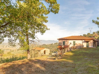 Terratetto in vendita a Carmignano Prato Capezzana