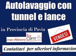 372/17 AUTOLAVAGGIO con tunnel + Terreno