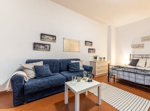 Appartamento monolocale in affitto a Firenze