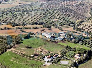 Azienda agricola in vendita a Orbetello