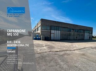 Capannone 550 mq Montebelluna (TV) Rif. 2436