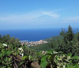 Casa indipendente in vendita, Marciana poggio