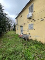 casa singola con giardino e oliveto