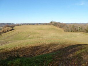 Castelnuovo Berardenga, Valle dell'Ombrone: Bella Azienda Agricola in Vendita