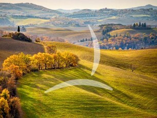 Esclusivo Agriturismo in Vendita a Pontassieve