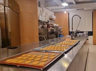 FIRENZE SIECI Attività di gelateria