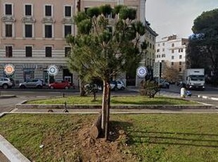 LOFT - RE DI ROMA - ad METRO A