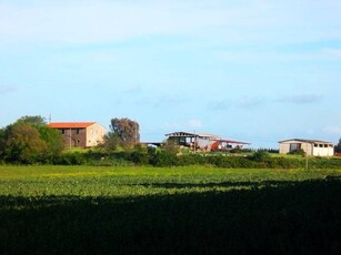 n Vendita: Straordinarie Aziende Agricole in Toscana con Terreni e Case Coloniali