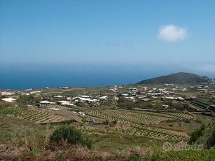 Pantelleria terreno panoramico, possibile edificab