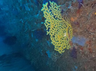 Per la tua vacanza a Trapani, Casetta Fardella 95