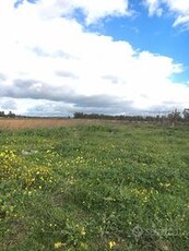 Sestu, località su Moriscau, terreno agricolo