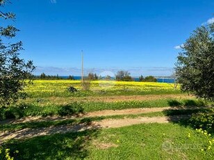 TER. AGRICOLO A PARTINICO