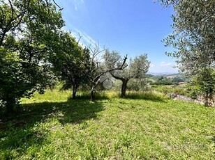 TER. AGRICOLO A POGGIO MIRTETO