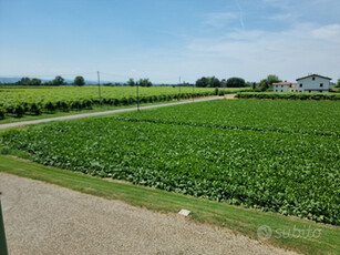 Terreno agricolo