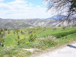 Terreno Agricolo - Ascoli Piceno