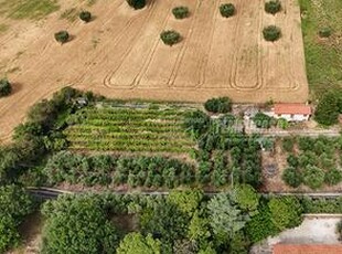 TERRENO AGRICOLO CON ANNESSO VISTA MARE