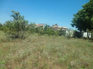 Terreno agricolo di 6.300 mq fronte strada