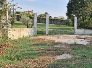 Terreno agricolo Frascati pianeggiante