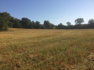 Terreno agricolo in vendita a Colle Di Val D'Elsa