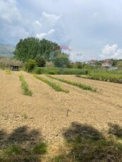 Terreno agricolo in vendita a Minturno