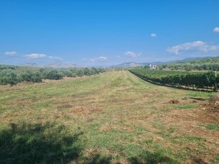 Terreno agricolo in vendita a Montelibretti