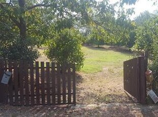 Terreno alle porte di Rivanazzano Terme