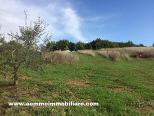 Terreno edificabile residenziale in vendita a Casole D'Elsa