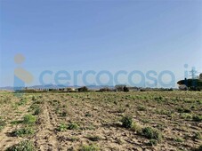 Terreno agricolo in vendita a Tarquinia