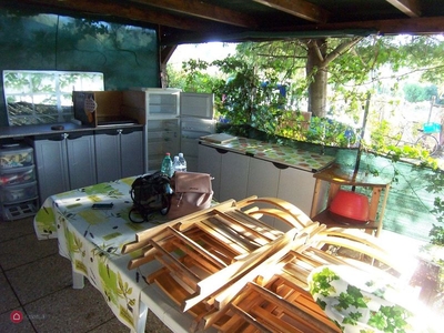 terreno agricolo in vendita a Piombino