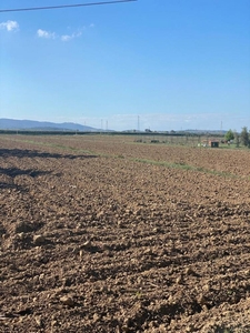 terreno agricolo in vendita a Piombino