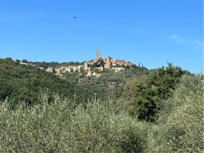 Appartamento in vendita a Magliano In Toscana Grosseto Pereta