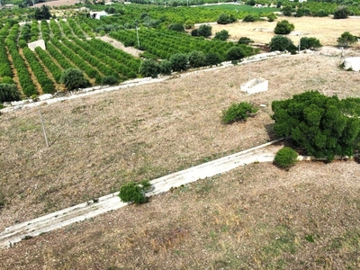 Terreno agricolo in vendita a Avola