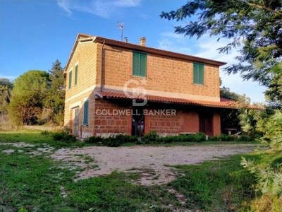 azienda agricola in vendita a Scansano