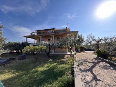 Villa Bifamiliare a Cisterna di Latina in Via Dei Ciliegi, Cisterna di Latina
